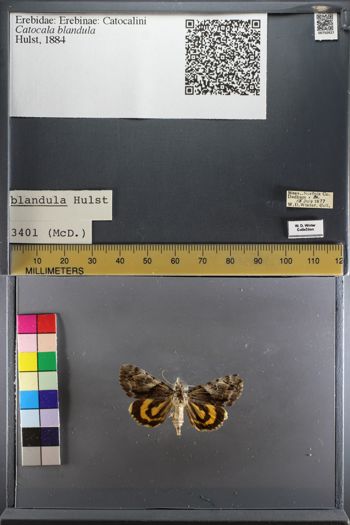Media type: image;   Entomology 750927